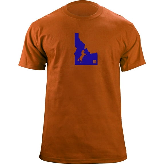 Vintage Original I Bronco Idaho University Style State T-Shirt