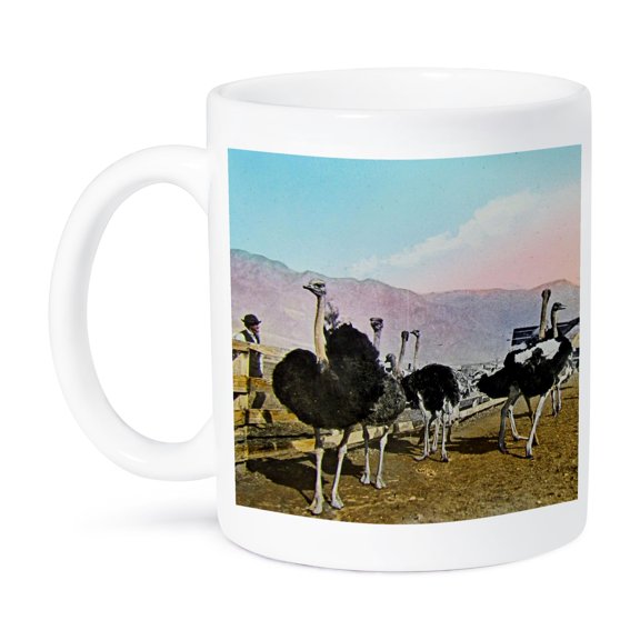 3dRose, Vintage Ostrich Farm Circa 1890 Hand Colored, 11oz Mug