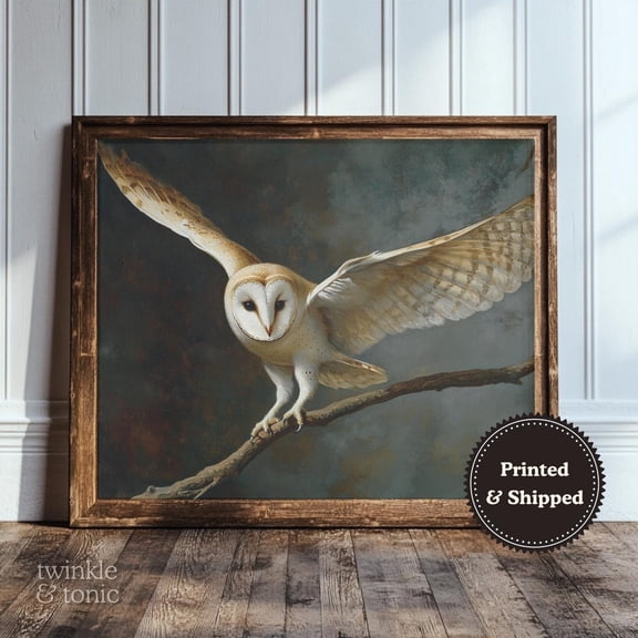 Vintage Owl Wall Art Dark Academia Home Decor Moody Nature Neutral Gothic Bird Print Wildlife Printed And Shipped