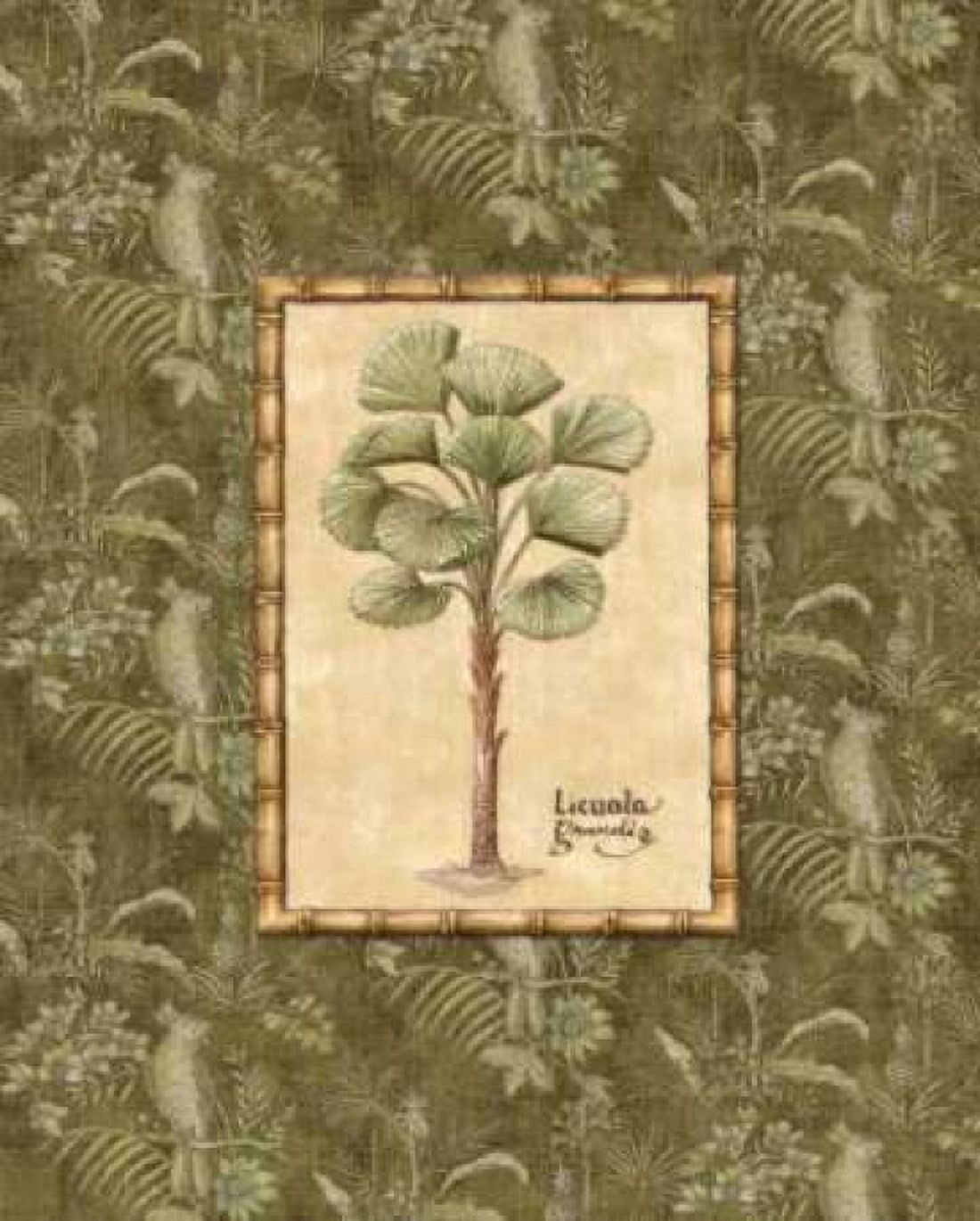 Vintage Palm I Canvas Art - Charlene Audrey (24 x 30)