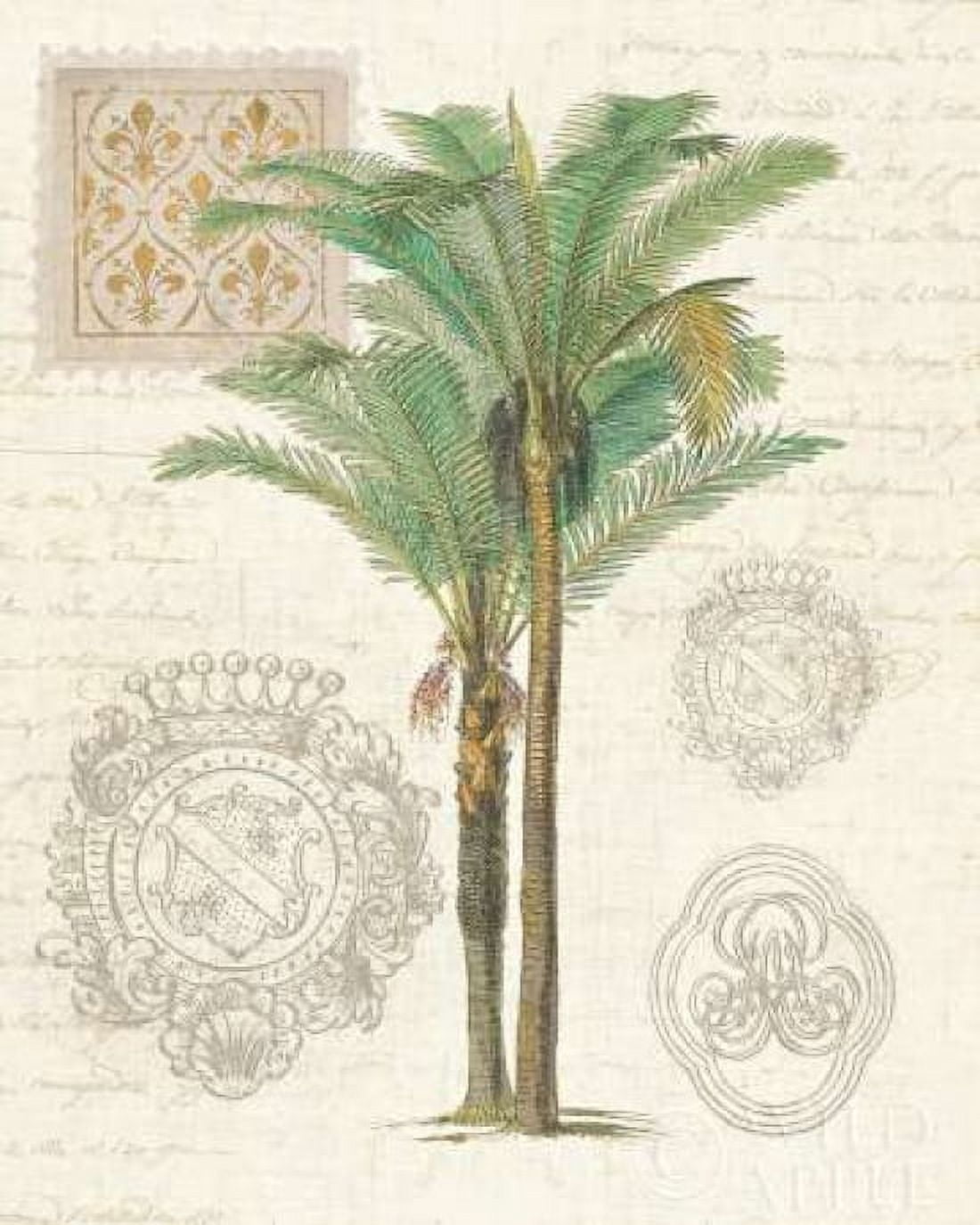 Vintage Palm Study II Canvas Art - Wild Apple Portfolio (24 x 30)