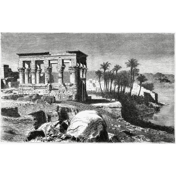 Vintage Palm Tree Illustration IX - 12" x 18" Art Print Wall Decor