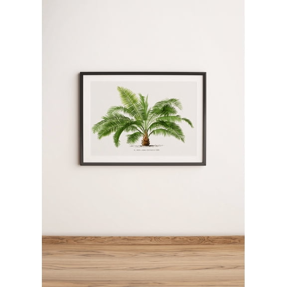 Vintage Palm Tree Tropical Illustration Wall Art Decor Unframed Paper Print