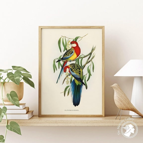 Vintage Parakeet Rosehill Bird Nursery Decor