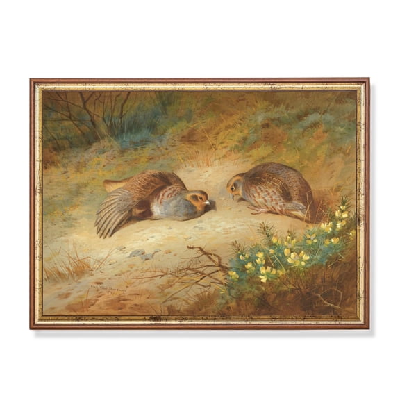 Vintage Partridge Antique Bird Poster, Bird Lover Gift Home Decor, 12x18 UNFRAMED