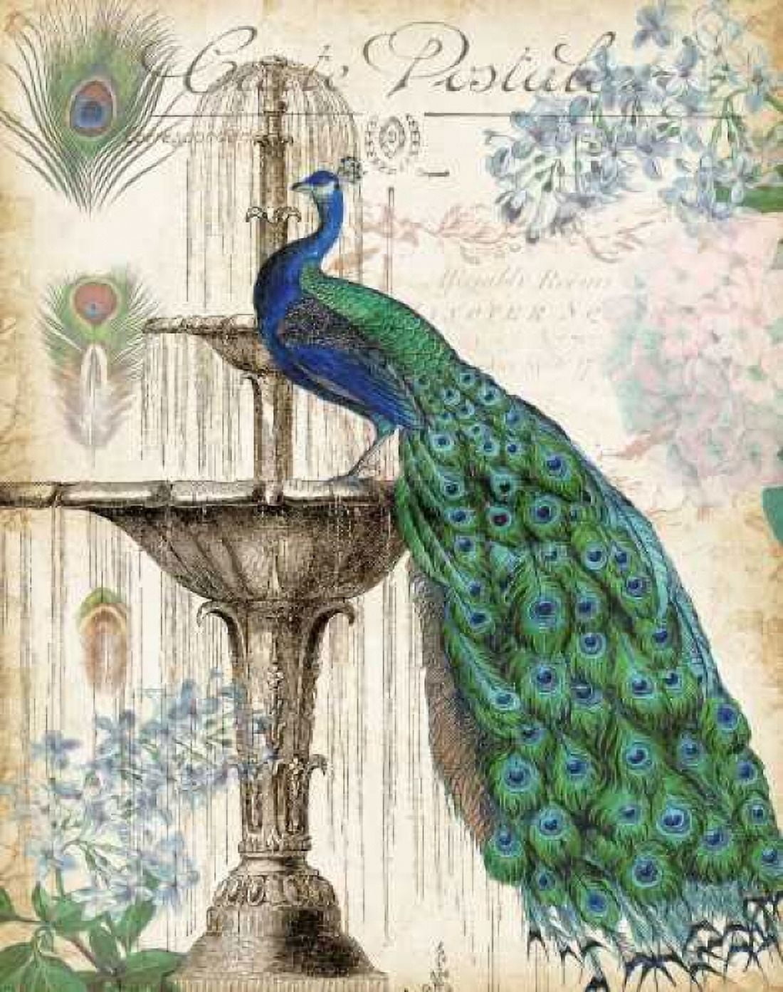 Vintage Peacocks II Canvas Art - Tre Sorelle Studios (22 x 28)