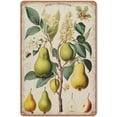 thumbnail image 1 of Vintage Pear Print, Fruit Poster, Pear Types Chart, Antique Style Fruit Yellow Print, Metal Tin Sign Wall Decor Man Cave Bar Home Decor Gifts for Mom,Dad and Friends 6X8 Inches, 1 of 5