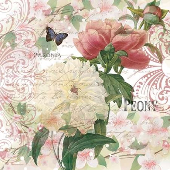 Vintage Peonies Canvas Art - Denise Urban (24 x 24)
