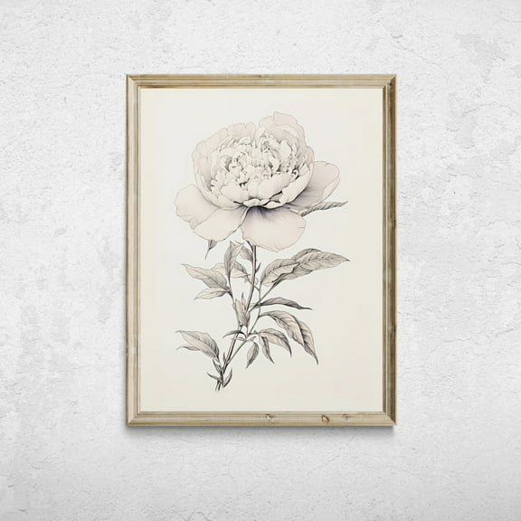 Vintage Peony Drawing, Botanical Sketch Art, Farmhouse Kitchen Decor, Sketch Flower Wall Art, Floral Drawing Print Wall Art, Modern Wall Decor, 8x12 UNFRAMED