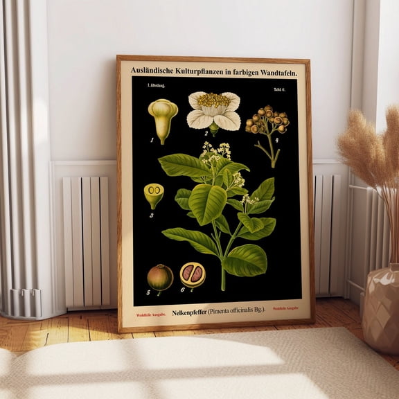 Vintage Pepper Plant Botanical German Educational Chart, Unframed Paper Poster 8x10in