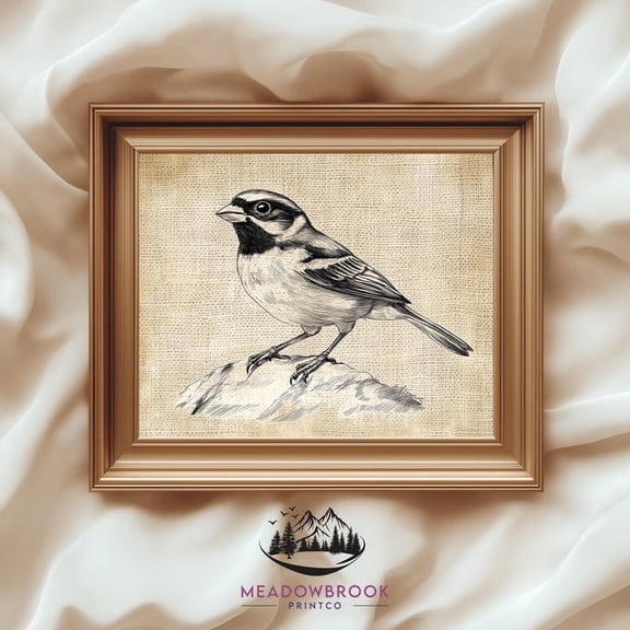 Vintage Pheasant Illustration Countryside Wildlife Art Black Throated Sparrow Wall Art Vintage Bird Poster, UNFRAMED Size 30x30
