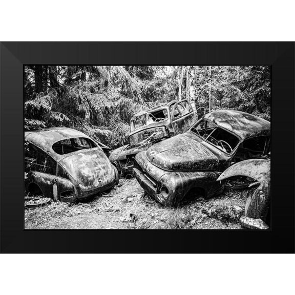 Vintage Photo Archive 14x11 Black Modern Framed Museum Art Print Titled - Graveyard in the Forest