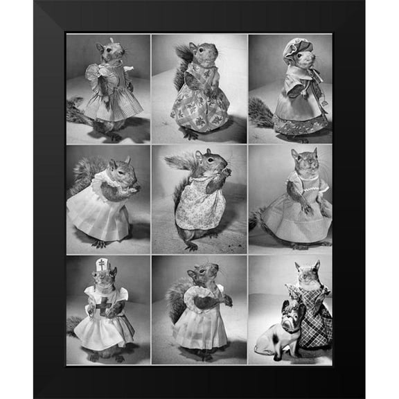 Vintage Photography 15x18 Black Modern Framed Museum Art Print Titled - Tommy Tucker the Pet Squirrel 1944