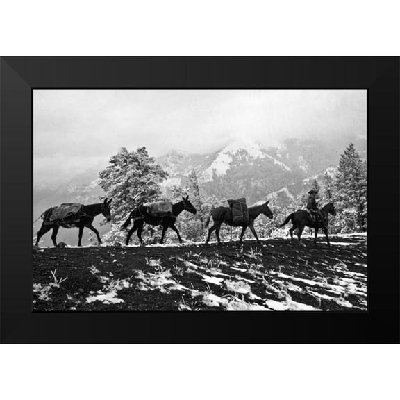 Vintage Photography 24x17 Black Modern Framed Museum Art Print Titled - Winter Mule Packing