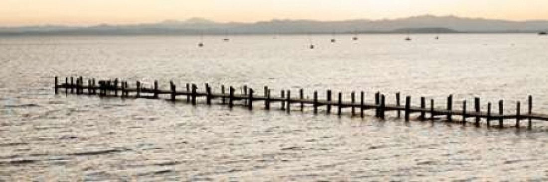 Vintage Pier Morning Vista Canvas Art - Alan Blaustein (8 x 24)