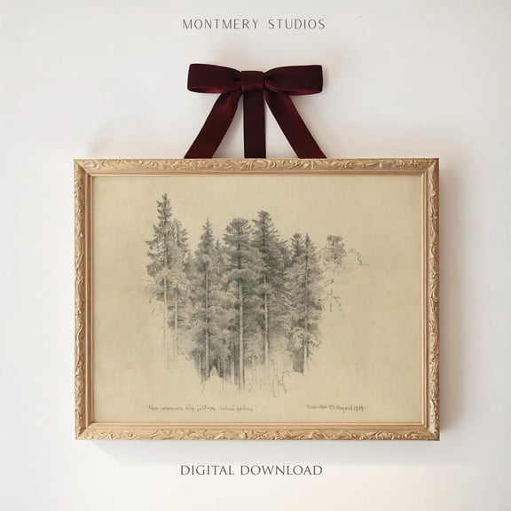 Vintage Pine Forest Sketch, Coniferous Trees Drawing, Rustic Print Poster, Antique Winter Print Poster, Cabin Art Print Poster, , CH34, Unframed Poster Size 24x36 F03.1.19l239