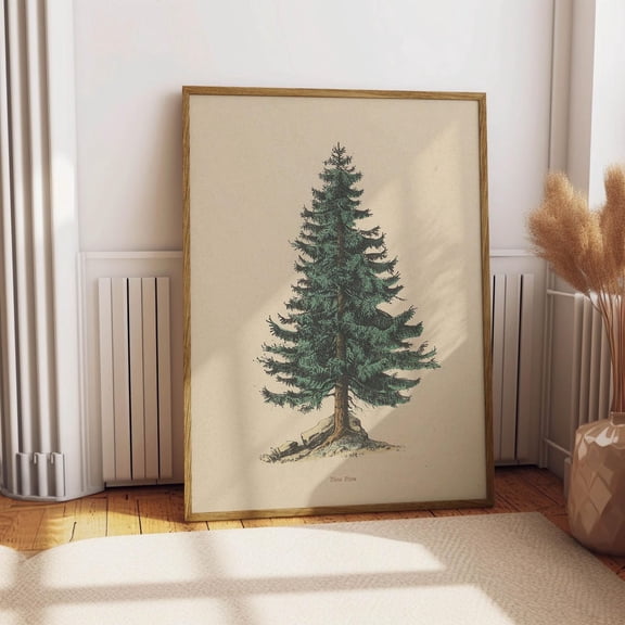 Vintage Pine Tree Drawing Spruce Botanical Poster Unframed Paper Print