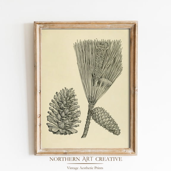 Vintage Pine Tree Fruit Etching Sketch, Vintage Tree Wall Decor, Pine Tree Wall Art, Vintage Sketch Decor, Home Decor #2513, Unframed Poster Size 24x36