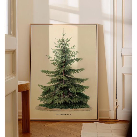 Vintage Pine Tree Poster: Moodybotanical Art, Stretched Canvas Size 8x12