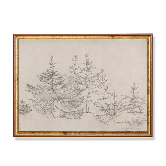 Vintage Pine Tree Sketch 19th Century Pencil Drawing Unframed Paper Print
