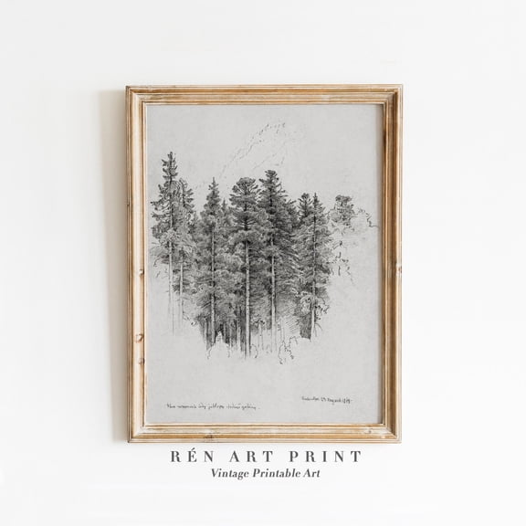 Vintage Pine Tree Sketch Art Poster Rustic Forest Landscape Poster, Stretched Size 8x12