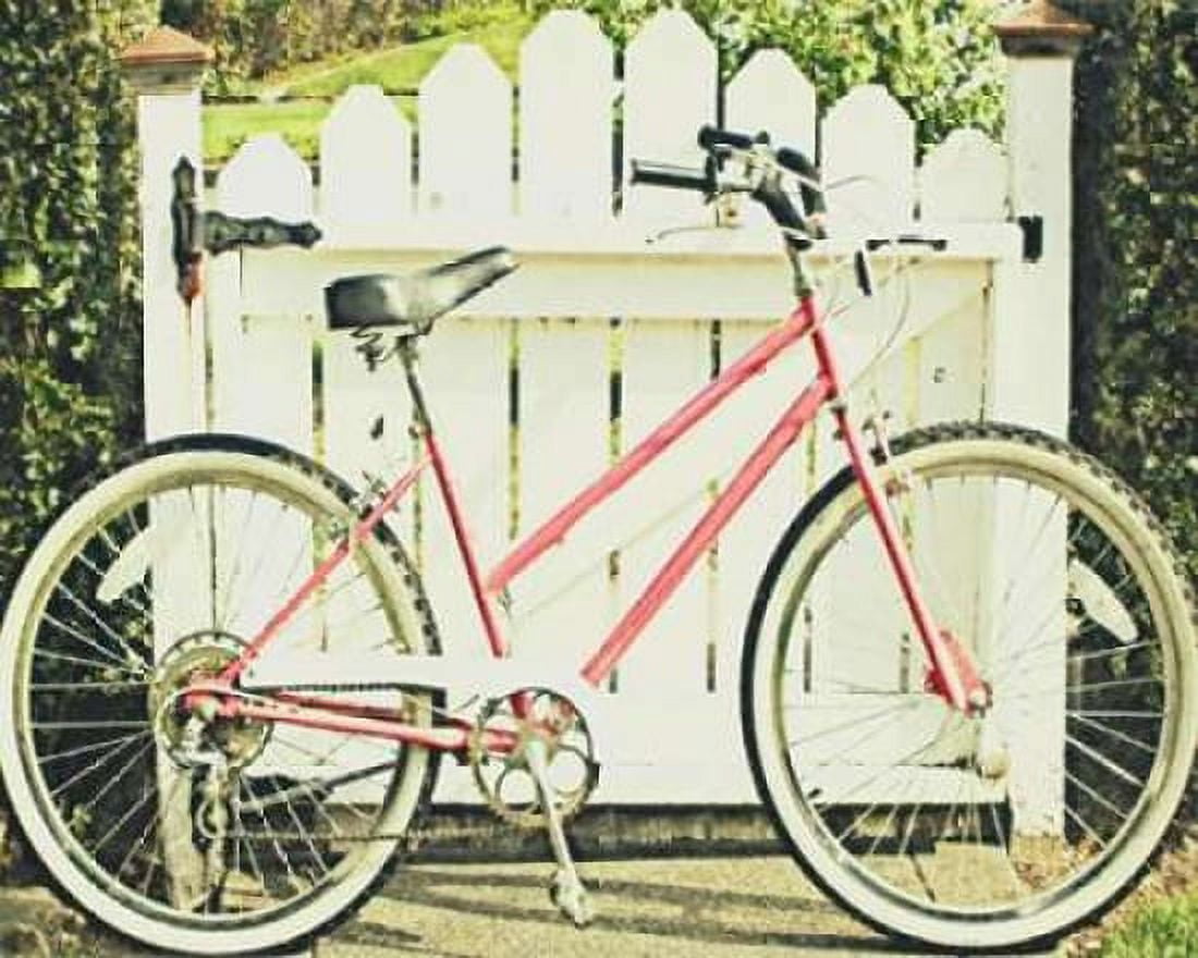 Vintage Pink Bike Canvas Art - Vicki Dvorak (24 x 30)