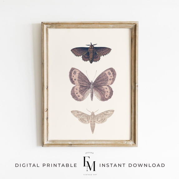 Vintage Pink Butterfly Insect Farmhouse Antique Moth Drawing Baby Girl ...