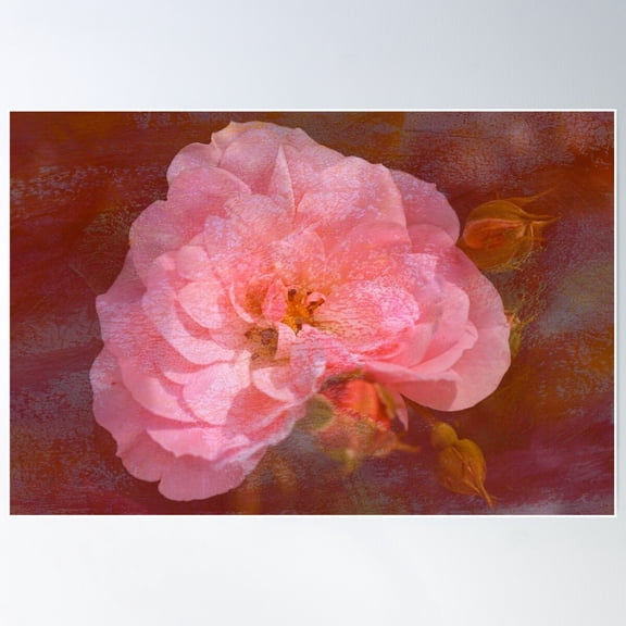 Vintage Pink Textured Rose Poster Wall Art, Modern Wall Decor For Living Room Bedroom, 24x36 UNFRAMED