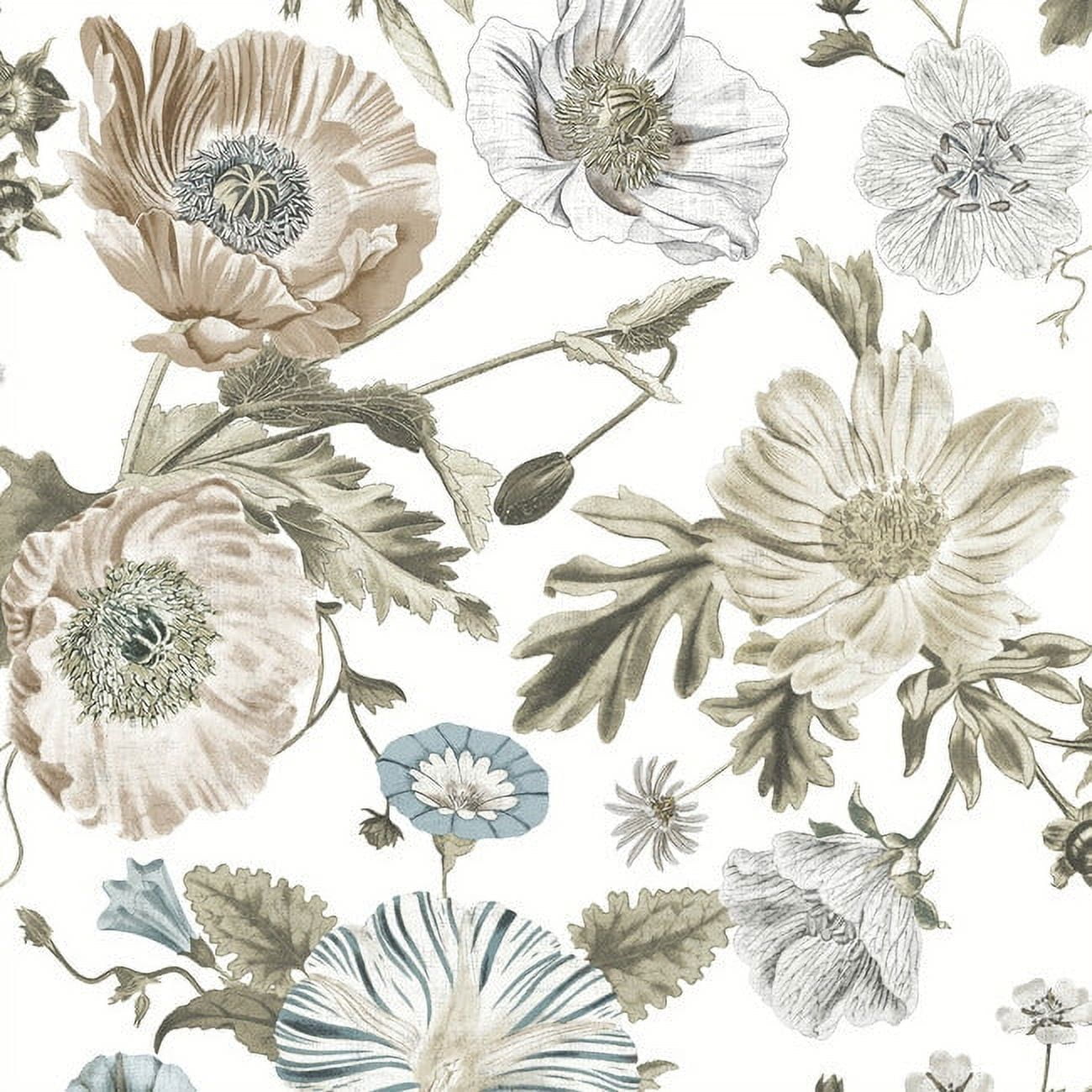 Vintage Poppy Peel & Stick Wallpaper