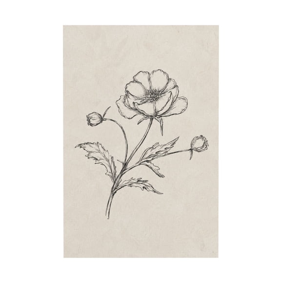 Vintage Poppy Sketch Canvas Wall Art for Living Room or Bedroom Home Decor 12*18in