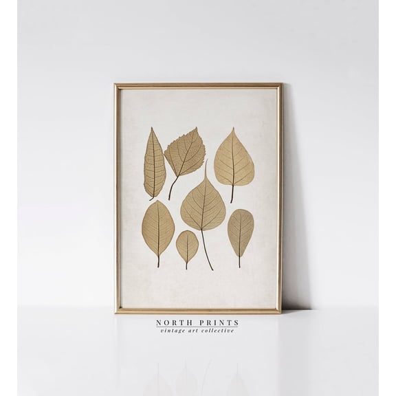 Vintage Pressed Leaf Botanical Unframed Paper Print