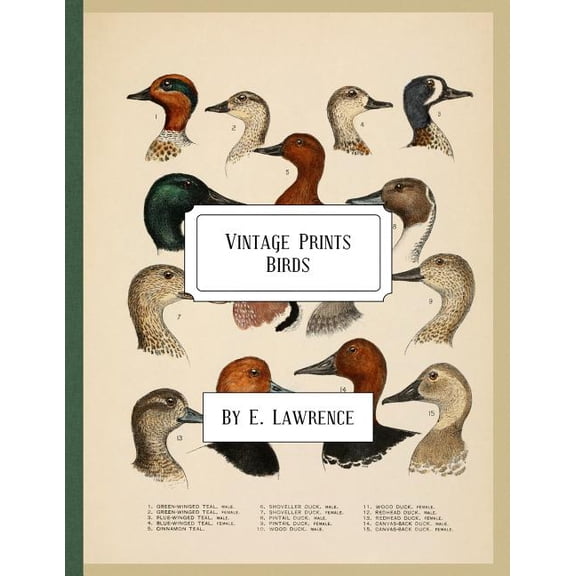 Vintage Prints: Birds (Paperback)