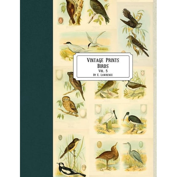 Vintage Prints: Birds: Vol. 5 (Paperback) by E Lawrence