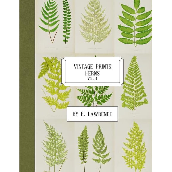 Vintage Prints: Ferns: Vol. 4