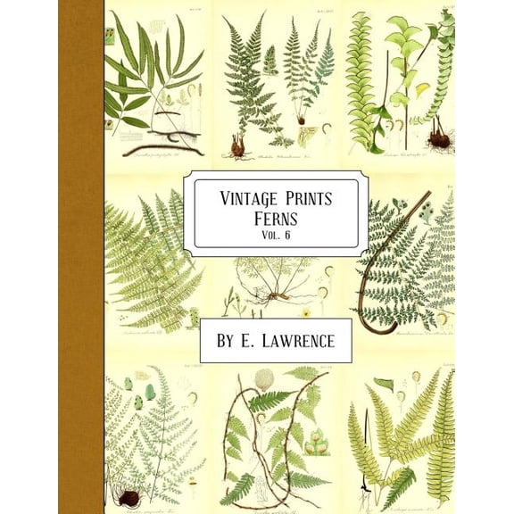Vintage Prints: Ferns: Vol. 6 (Paperback) by E Lawrence