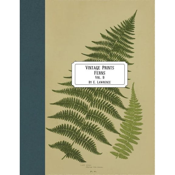 Vintage Prints: Ferns: Vol. 9