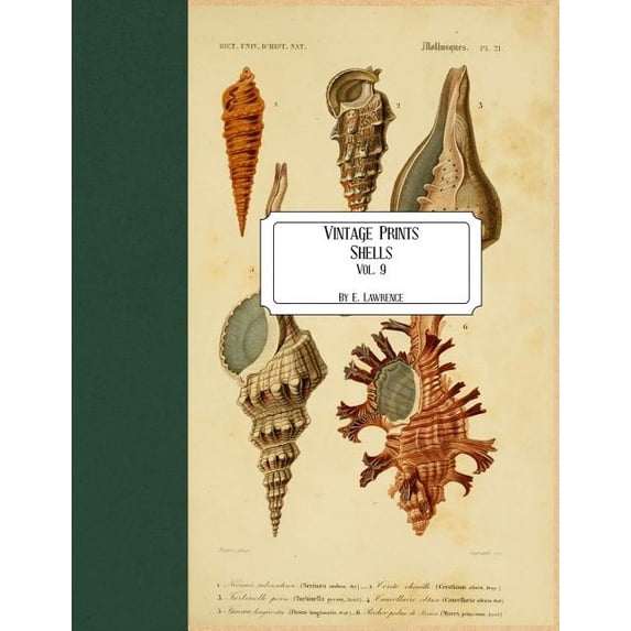 Vintage Prints: Shells: Vol. 9