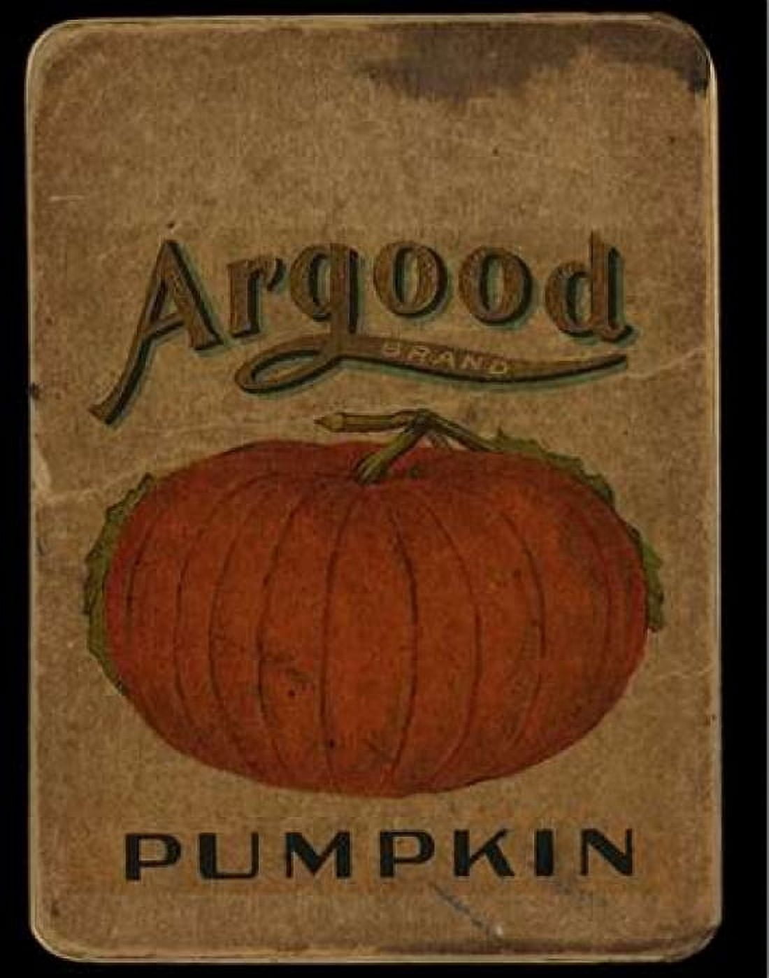 Vintage Pumpkin Canvas Art - Beth Albert (22 x 28)
