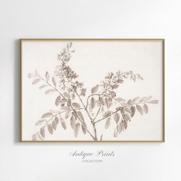 Vintage Purple Flowers Sketch Art, Antique Botanical Drawing, Neutral Nature Print, Rustic Wall Art, Flowers Art Unframed Paper Print