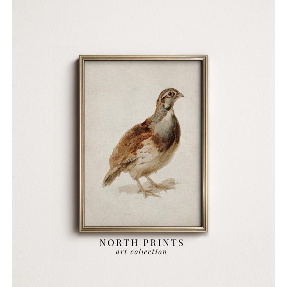 Vintage Quail Rustic Autumn Wildlife Poster, Unframed Size 8x12