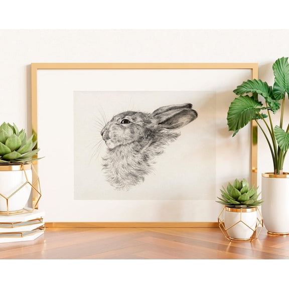 Vintage Rabbit Drawing Poster, Bunny Nursery Wall Art, Stretched Canvas Size 16x24