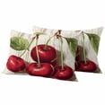 thumbnail image 1 of Vintage Red Cherry Outdoor Waterproof Pillow Covers, Retro Summer Botanical Decorative Rectangle Throw Pillowcase Sofa Cushion Sham for Patio/Couch/Chair, 20"x12" 2 Pack, 1 of 8