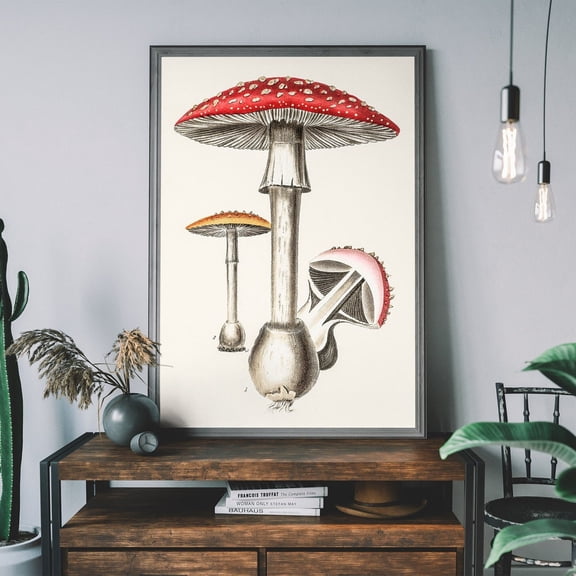 Vintage Red Mushroom Art Print, Toadstool Print, Botanical Fungi Poster, Cottagecore Home Decor Wall Art, Modern Wall Decor, 8x12 UNFRAMED