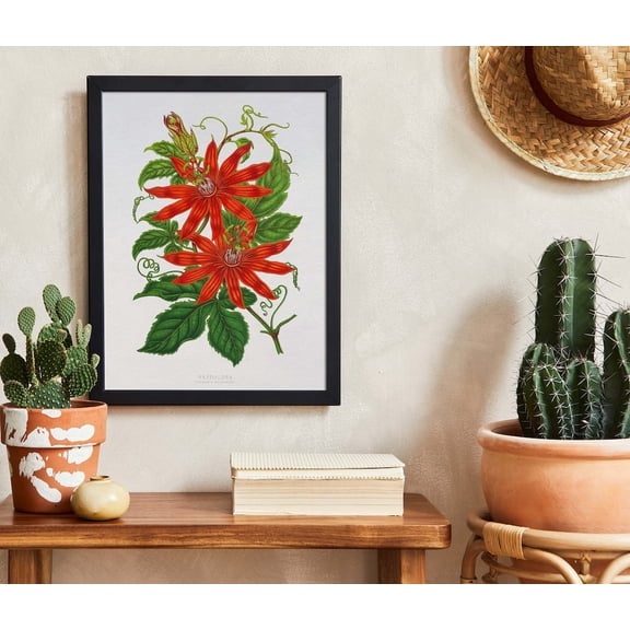 Vintage Red Passion Flower Print, Unframed Paper Poster 8x10in