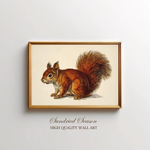 Vintage Red Squirrel Art Print, Woodland Animal Nature Illustration, Cottagecore Forest Wall Decor For Nursery, Office Or Cozy Living Room UNFRAMED Poster, Wall Art for Decor, Present, 16x24