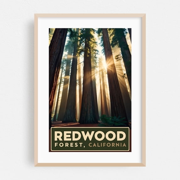 Vintage Redwood Forest Illustration | Iconic California Trees Art - California Illustration Forest Nature Travel Poster Landscape Vintage Poster Botanical Oak Framed Wall Art Print 5 x 7 inches