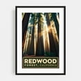 thumbnail image 1 of Vintage Redwood Forest Illustration | Iconic California Trees Art - California Illustration Forest Nature Travel Poster Landscape Vintage Poster Botanical Black Framed Wall Art Print 20 x 30 inches, 1 of 8