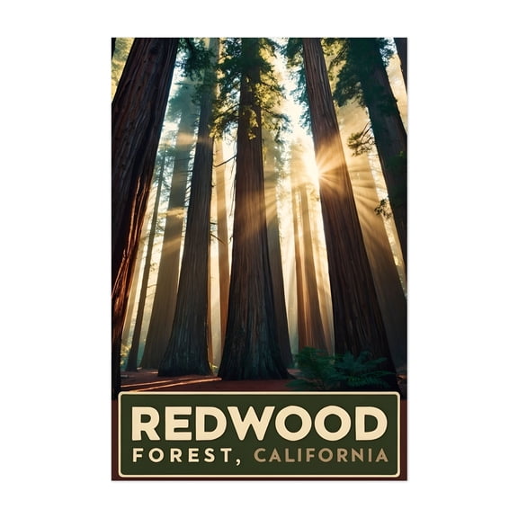 Vintage Redwood Forest Illustration | Iconic California Trees Art - California Illustration Forest Nature Travel Poster Landscape Vintage Poster Botanical Unframed Wall Art Print 20 x 28 inches