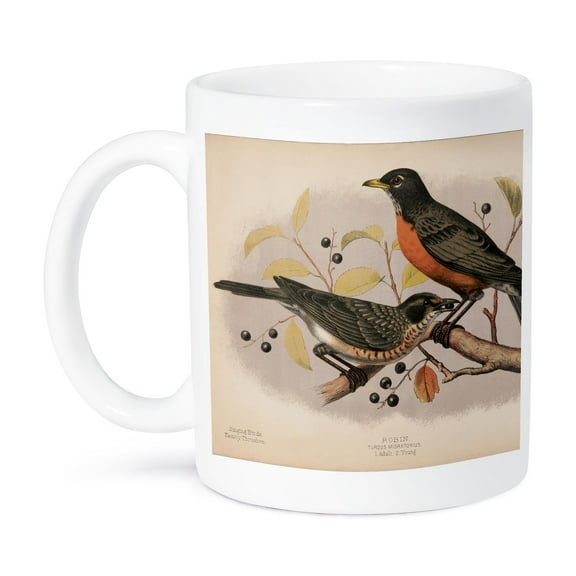 3dRose, Vintage Robins, 11oz Mug