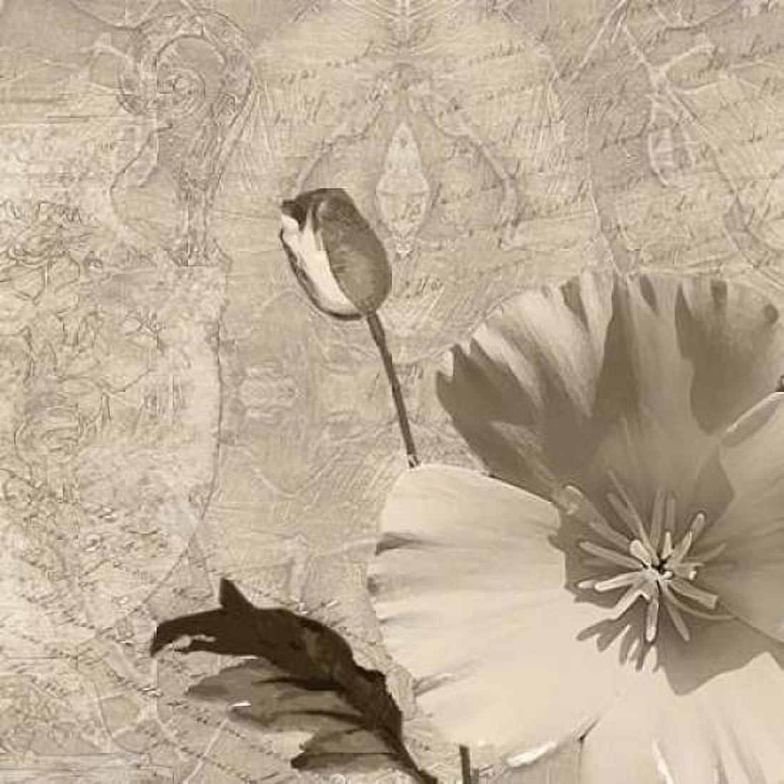 Vintage Rose I Canvas Art - Lisa Wolk (24 x 24)